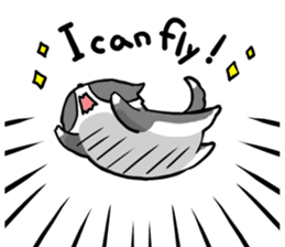 Daily life of dogs and cats sticker #8762508