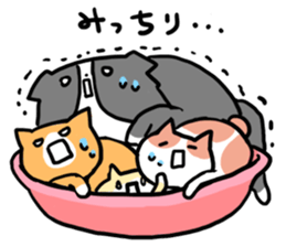 Daily life of dogs and cats sticker #8762516