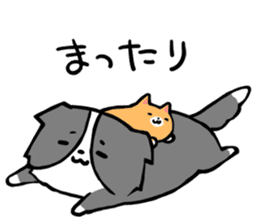 Daily life of dogs and cats sticker #8762519