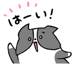 Daily life of dogs and cats sticker #8762533