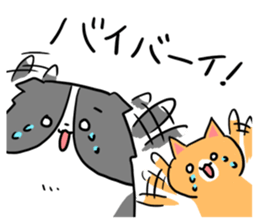 Daily life of dogs and cats sticker #8762537