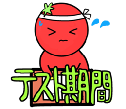 Picocyan work hard tomatoes sticker #8763409