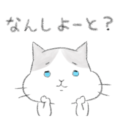 Fukuoka's cat.