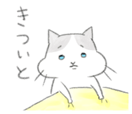 Fukuoka's cat. sticker #8763596