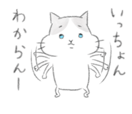 Fukuoka's cat. sticker #8763616
