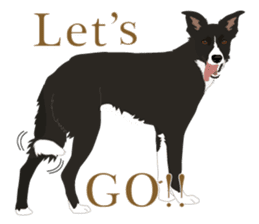 Cool border collies ~English~ sticker #8764130