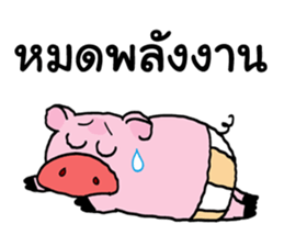 Pig name. Саша свин. макар свин. сайнс тифик нэйм фор пиг. botanical name for pig.
