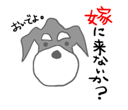 LOVE Miniature Schnauzer 3 sticker #8768372