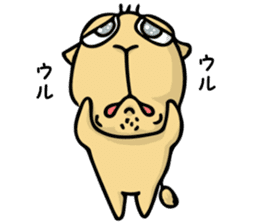 Onishi camel sticker #8769640