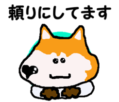 Shiba inu MOMO chan the third as well 10 sticker #8772898