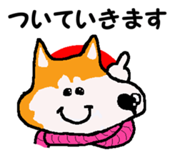 Shiba inu MOMO chan the third as well 10 sticker #8772899