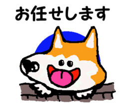 Shiba inu MOMO chan the third as well 10 sticker #8772900