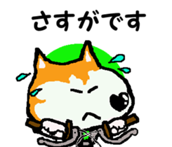 Shiba inu MOMO chan the third as well 10 sticker #8772901