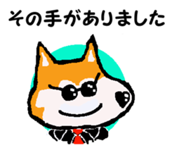 Shiba inu MOMO chan the third as well 10 sticker #8772905