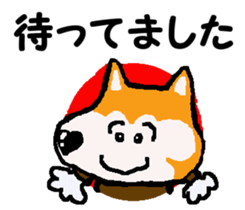 Shiba inu MOMO chan the third as well 10 sticker #8772906