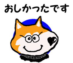 Shiba inu MOMO chan the third as well 10 sticker #8772907