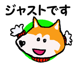 Shiba inu MOMO chan the third as well 10 sticker #8772908