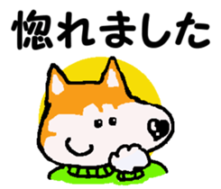 Shiba inu MOMO chan the third as well 10 sticker #8772909