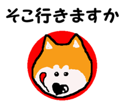 Shiba inu MOMO chan the third as well 10 sticker #8772914