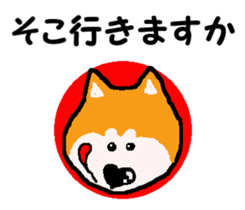 Shiba inu MOMO chan the third as well 10 sticker #8772914