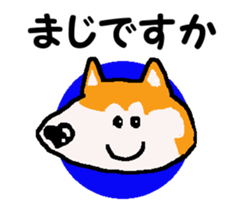 Shiba inu MOMO chan the third as well 10 sticker #8772915