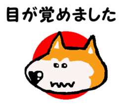 Shiba inu MOMO chan the third as well 10 sticker #8772921