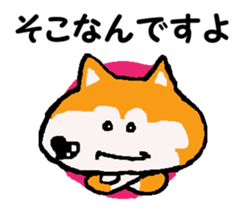 Shiba inu MOMO chan the third as well 10 sticker #8772925