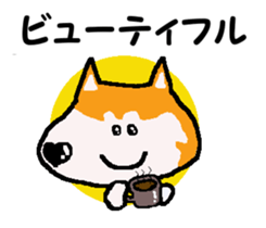 Shiba inu MOMO chan the third as well 10 sticker #8772931