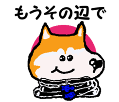Shiba inu MOMO chan the third as well 10 sticker #8772932