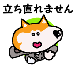 Shiba inu MOMO chan the third as well 10 sticker #8772933