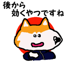 Shiba inu MOMO chan the third as well 10 sticker #8772935