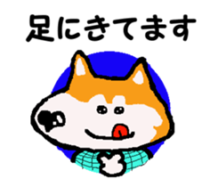 Shiba inu MOMO chan the third as well 10 sticker #8772936