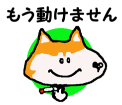 Shiba inu MOMO chan the third as well 10 sticker #8772937