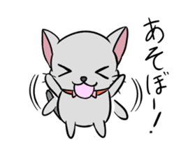 Cute Chartreux-chan sticker #8777200