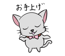 Cute Chartreux-chan sticker #8777205