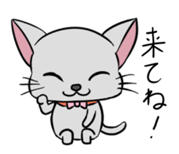 Cute Chartreux-chan sticker #8777208