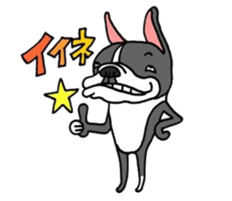 Funny Bosteri sticker #8777740