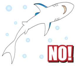 The Shark Paradis sticker #8781564