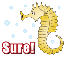 The Shark Paradis sticker #8781571