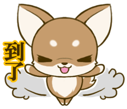 Chihuahuatan 7 sticker #8782459