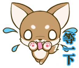 Chihuahuatan 7 sticker #8782461