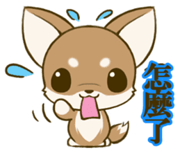 Chihuahuatan 7 sticker #8782467