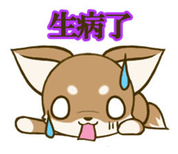 Chihuahuatan 7 sticker #8782471