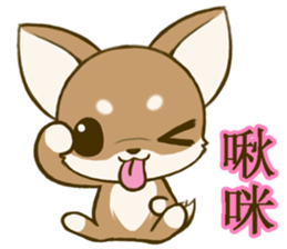 Chihuahuatan 7 sticker #8782473