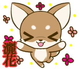 Chihuahuatan 7 sticker #8782477