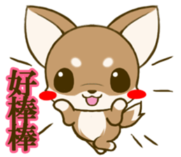 Chihuahuatan 7 sticker #8782478