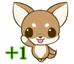 Chihuahuatan 7 sticker #8782481