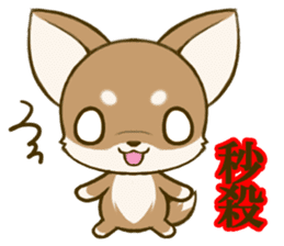 Chihuahuatan 7 sticker #8782482