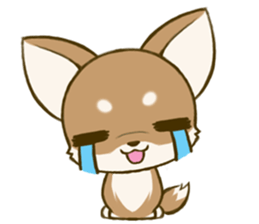 Chihuahuatan 7 sticker #8782485