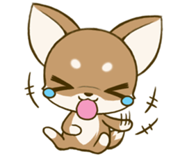 Chihuahuatan 7 sticker #8782486